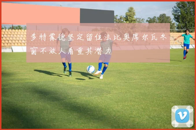 多特蒙德坚定留住法比奥席尔瓦冬窗不放人看重其潜力