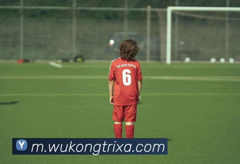 悟空体育APP 体育赛事宣传图